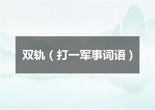 双轨（打一军事词语）