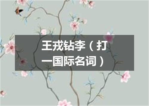 王戎钻李（打一国际名词）