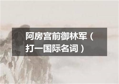 阿房宫前御林军（打一国际名词）