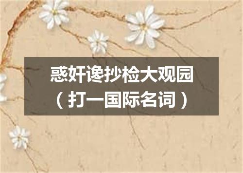 惑奸谗抄检大观园（打一国际名词）