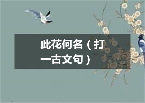 此花何名（打一古文句）