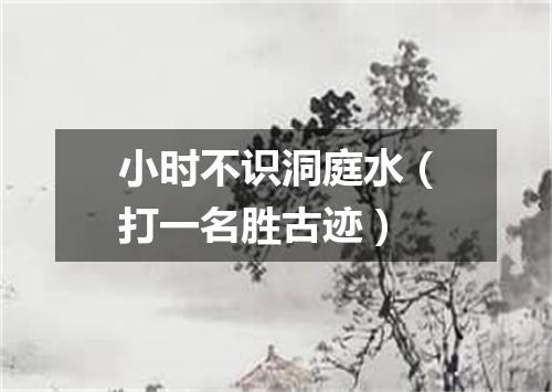 小时不识洞庭水（打一名胜古迹）