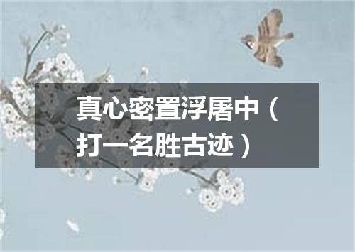 真心密置浮屠中（打一名胜古迹）