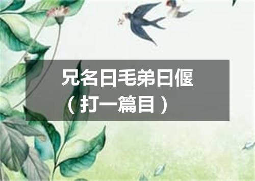 兄名曰毛弟曰偃（打一篇目）