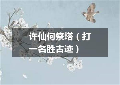 许仙何祭塔（打一名胜古迹）