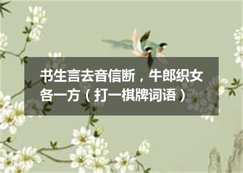 书生言去音信断，牛郎织女各一方（打一棋牌词语）