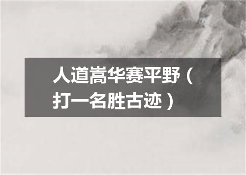 人道嵩华赛平野（打一名胜古迹）