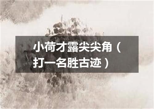 小荷才露尖尖角（打一名胜古迹）