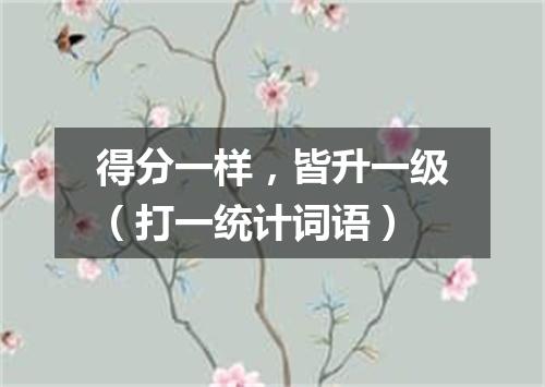 得分一样，皆升一级（打一统计词语）