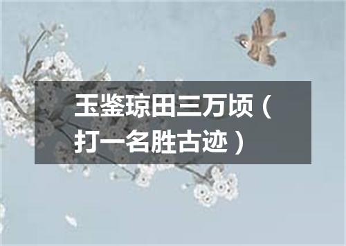 玉鉴琼田三万顷（打一名胜古迹）