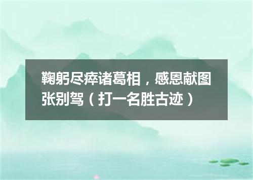 鞠躬尽瘁诸葛相，感恩献图张别驾（打一名胜古迹）