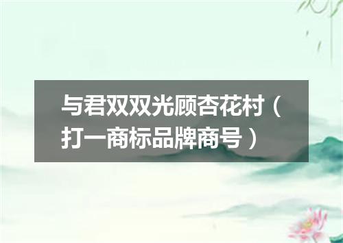 与君双双光顾杏花村（打一商标品牌商号）