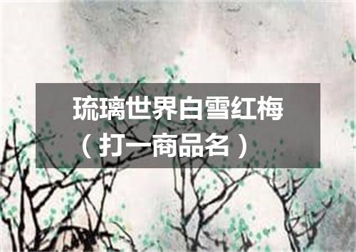 琉璃世界白雪红梅（打一商品名）