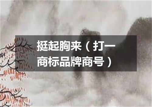 挺起胸来（打一商标品牌商号）