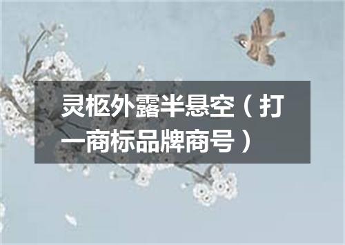 灵柩外露半悬空（打一商标品牌商号）