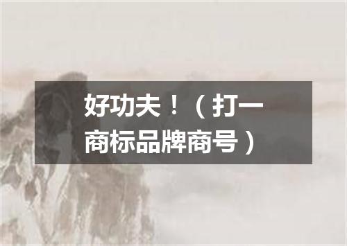 好功夫！（打一商标品牌商号）