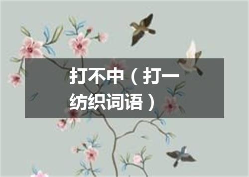 打不中（打一纺织词语）