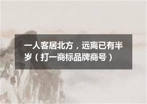 一人客居北方，远离已有半岁（打一商标品牌商号）