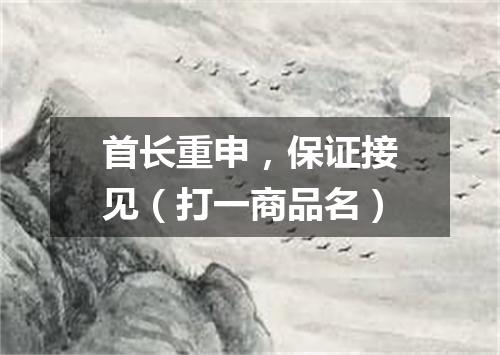 首长重申，保证接见（打一商品名）