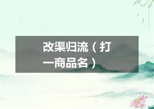 改渠归流（打一商品名）