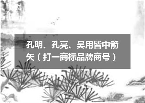 孔明、孔亮、吴用皆中箭矢（打一商标品牌商号）