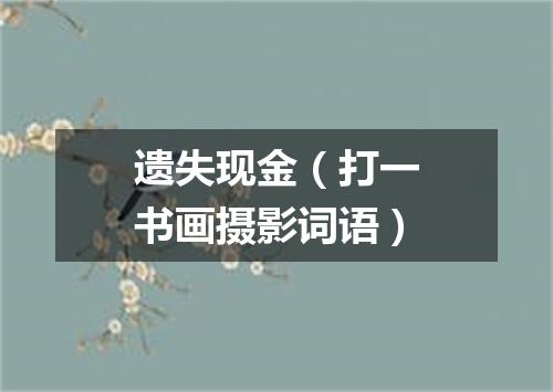 遗失现金（打一书画摄影词语）