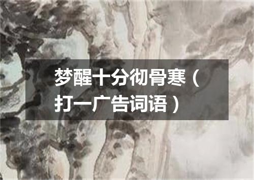 梦醒十分彻骨寒（打一广告词语）
