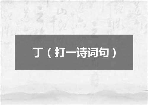 丁（打一诗词句）