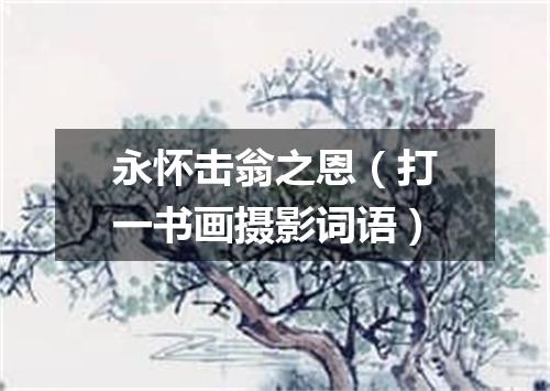 永怀击翁之恩（打一书画摄影词语）