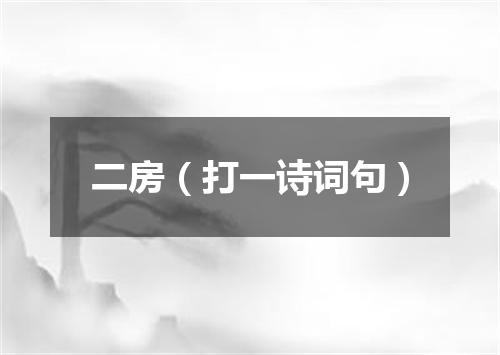 二房（打一诗词句）