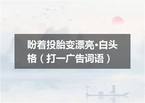 盼着投胎变漂亮·白头格（打一广告词语）