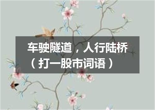 车驶隧道，人行陆桥（打一股市词语）