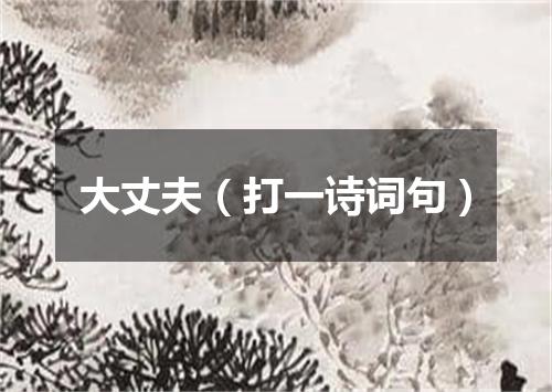 大丈夫（打一诗词句）