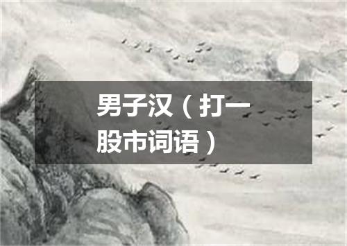 男子汉（打一股市词语）