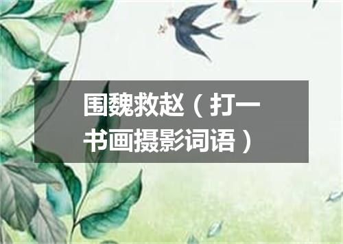 围魏救赵（打一书画摄影词语）