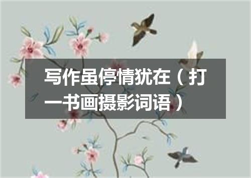 写作虽停情犹在（打一书画摄影词语）