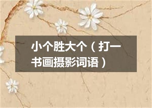 小个胜大个（打一书画摄影词语）
