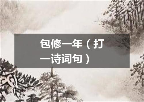 包修一年（打一诗词句）
