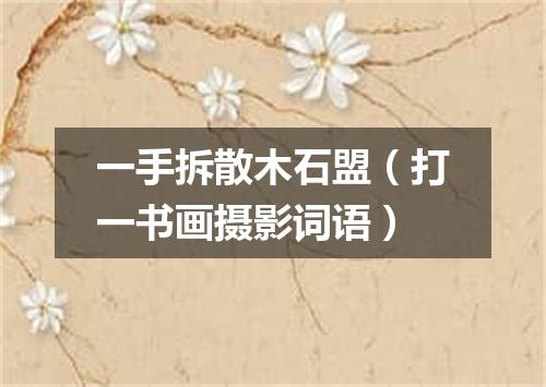 一手拆散木石盟（打一书画摄影词语）
