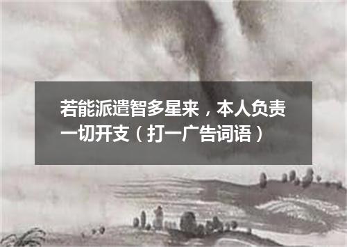 若能派遣智多星来，本人负责一切开支（打一广告词语）