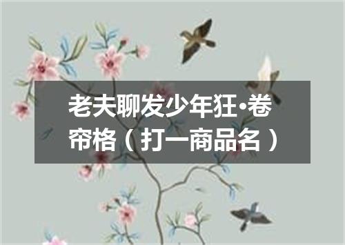 老夫聊发少年狂·卷帘格（打一商品名）