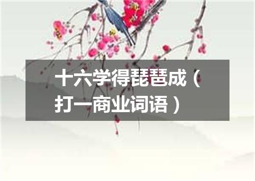 十六学得琵琶成（打一商业词语）