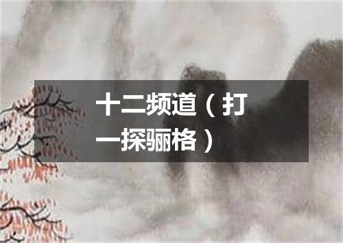 十二频道（打一探骊格）