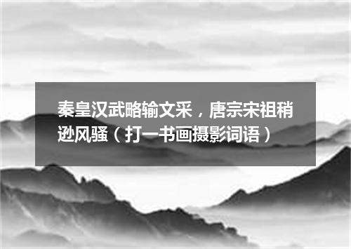 秦皇汉武略输文采，唐宗宋祖稍逊风骚（打一书画摄影词语）