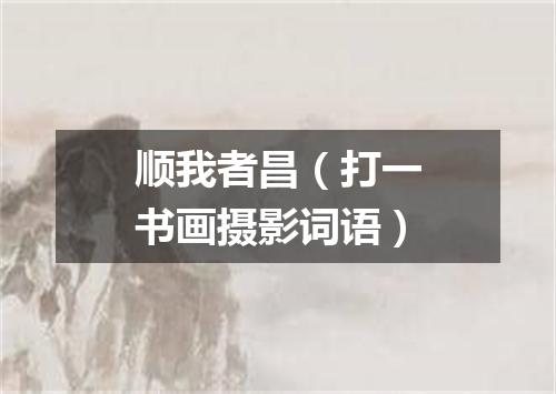 顺我者昌（打一书画摄影词语）