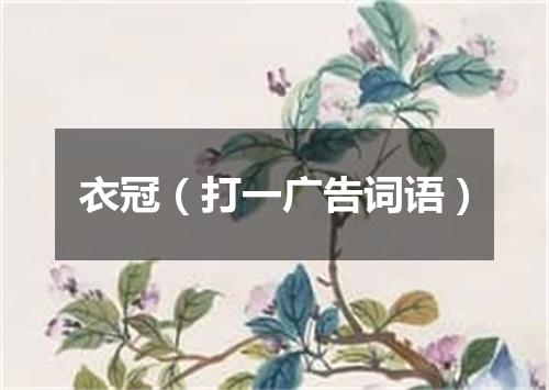 衣冠（打一广告词语）
