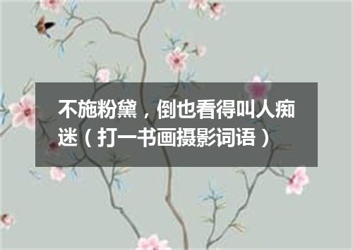 不施粉黛，倒也看得叫人痴迷（打一书画摄影词语）