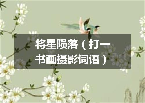 将星陨落（打一书画摄影词语）