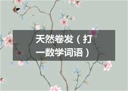 天然卷发（打一数学词语）