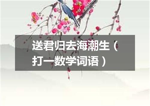 送君归去海潮生（打一数学词语）